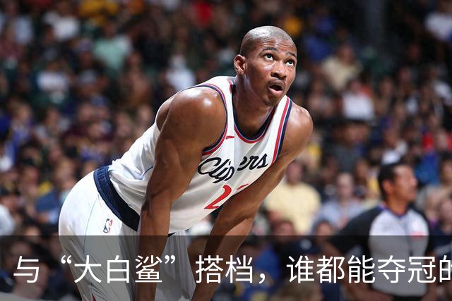 与“大白鲨”搭档，谁都能夺冠的篮球梦